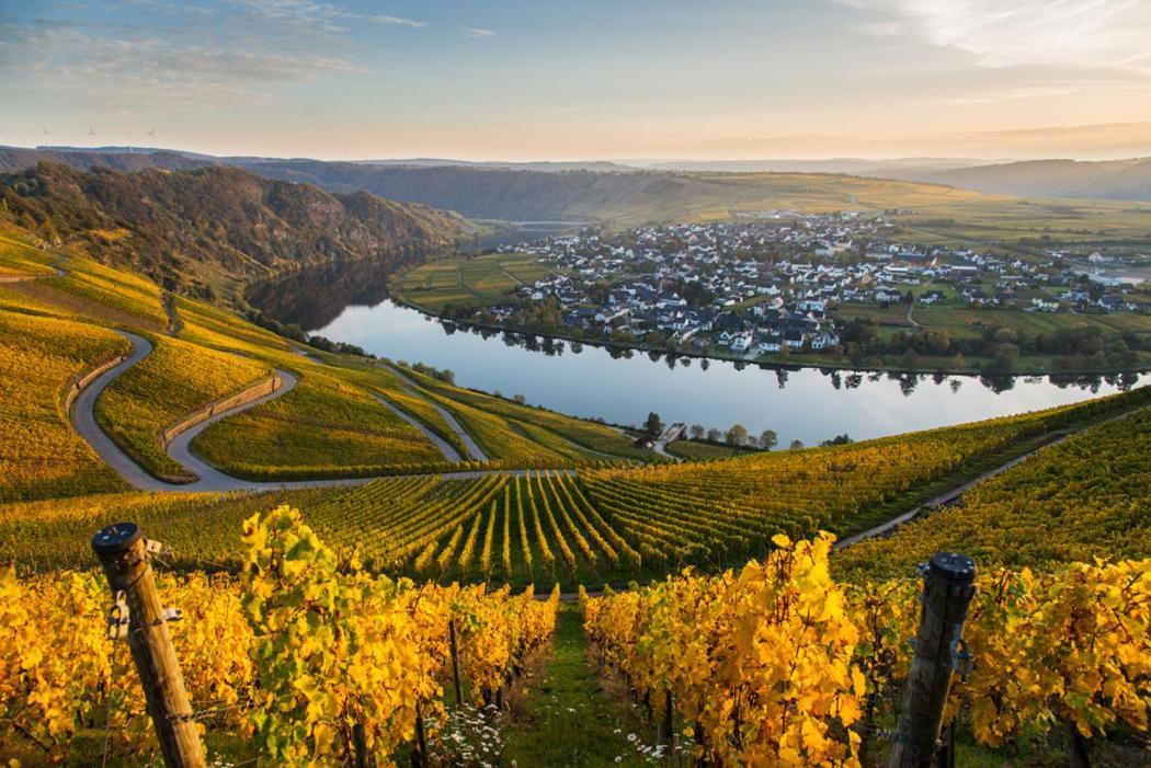 Hotel- Weingut- Moselloreley Piesport Exterior foto